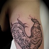 Roostermagik