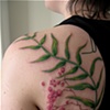 PepperTree