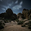 Joshua Tree #1