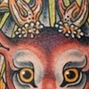 Stag/Eye