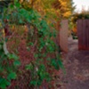 Open Fence