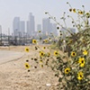 Downtown Los Angeles