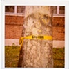 caution