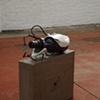 Portal Gun