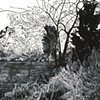 Landscape With Wall