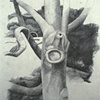 Drawings