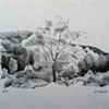 Tree With Hill