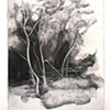 Miller Place Trees