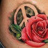 Peace rose