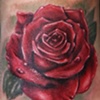 rose