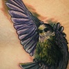 Finch