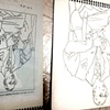 Picasso upside down drawing exercise