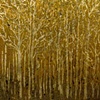 the golden forest