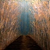 enchanted passage