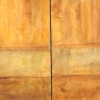 faded desert