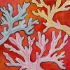 coral