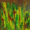 rain forest