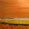 fields of flowers