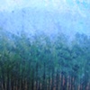 foggy day