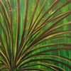 palm