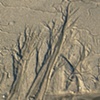 natural abstract