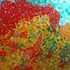 field of color