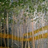 The yellow brick road