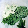 flower study