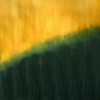 the veil