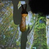 "Brooklyn Bodies" (collaborative photography project led by artist Jess Levey)