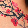 Cherry blosoms