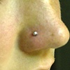 nostril screw