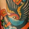 blue bird with horse shoe.