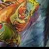 coy fish