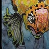 Magic fish