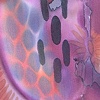 Underwater details