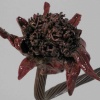Flora Red