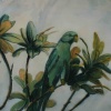 Watercolor Parrot