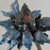 Flora Blue