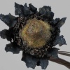 Flora Dark