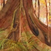 Watercolor Butress Root