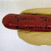 Jesus might get sharked