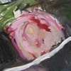 Compost