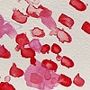 Blood And Snow