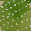 Cacti 11-11-11