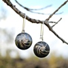 silver earrings