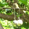 sterling silver earrings (series 15)