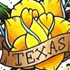 Texas Flash Sheet