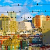 The City
