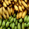 Bananas